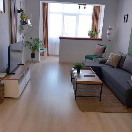 Nya Apartment Sighişoara Exterior foto
